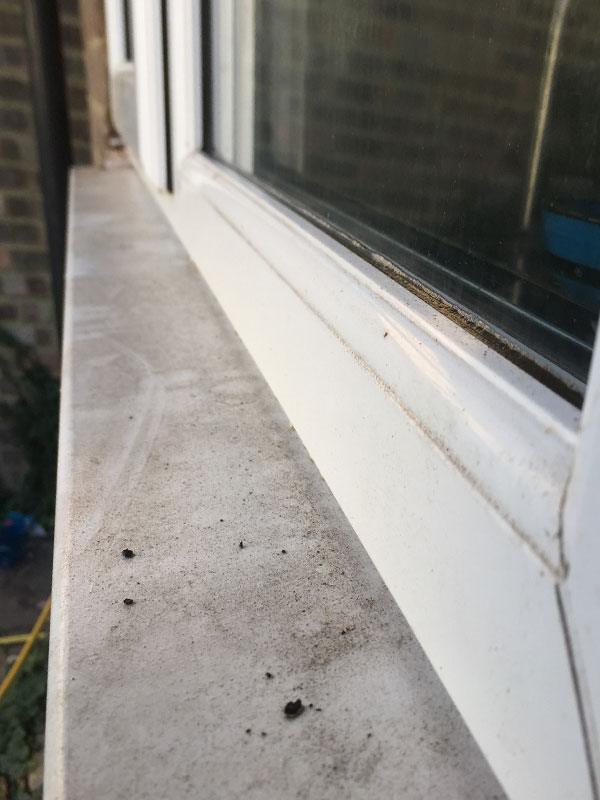 Window-Sill-Before