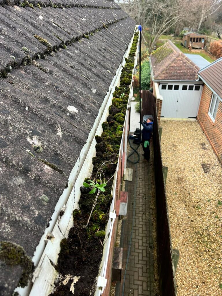 Gutter Before Cleaning